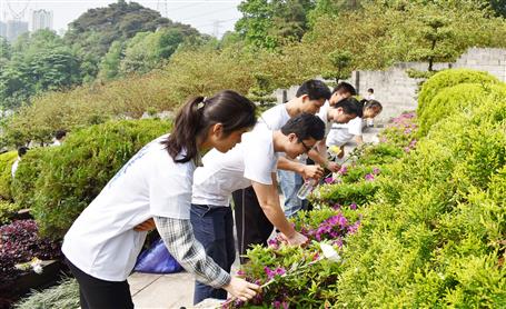 公司黨委與北雀社區黨委開展清明祭掃活動